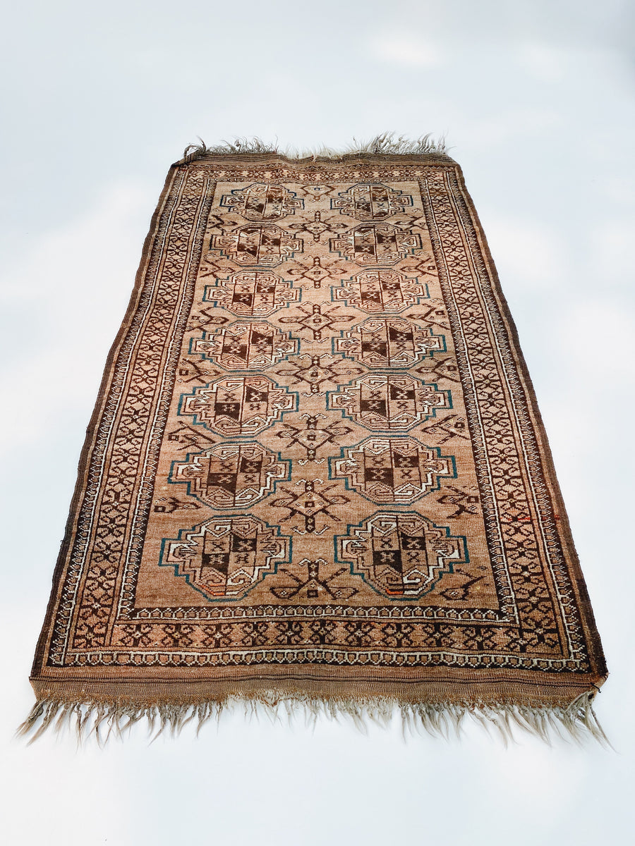 Hand-knotted Persian Rug