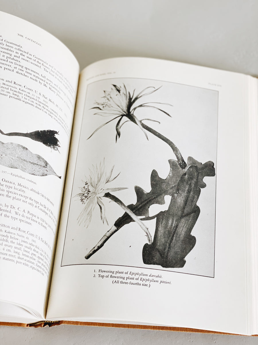 The Cactaceae Book