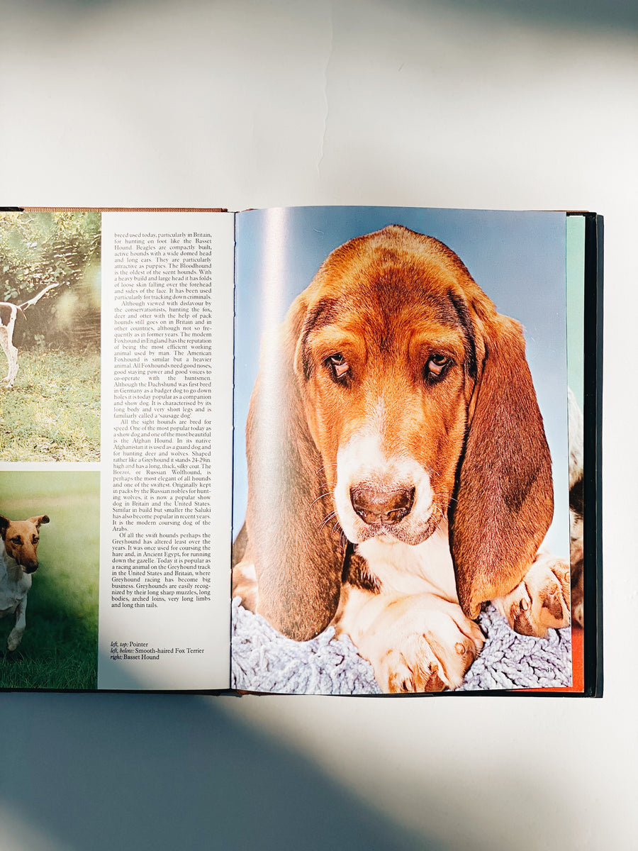 Dogs Book