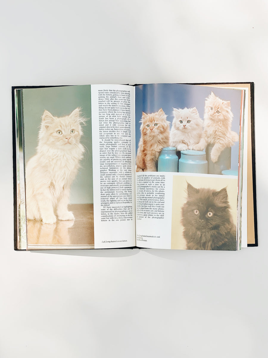Kittens Book