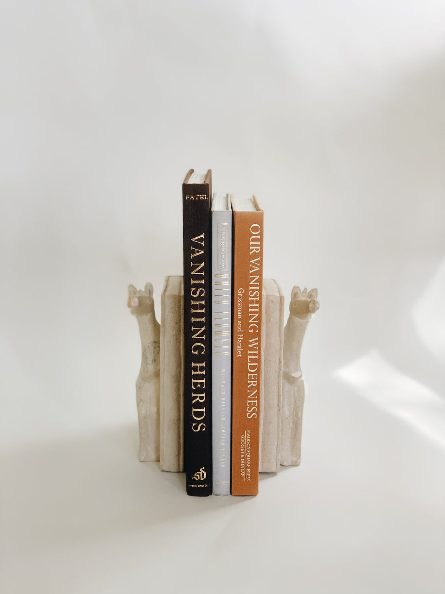 Soapstone Bookends