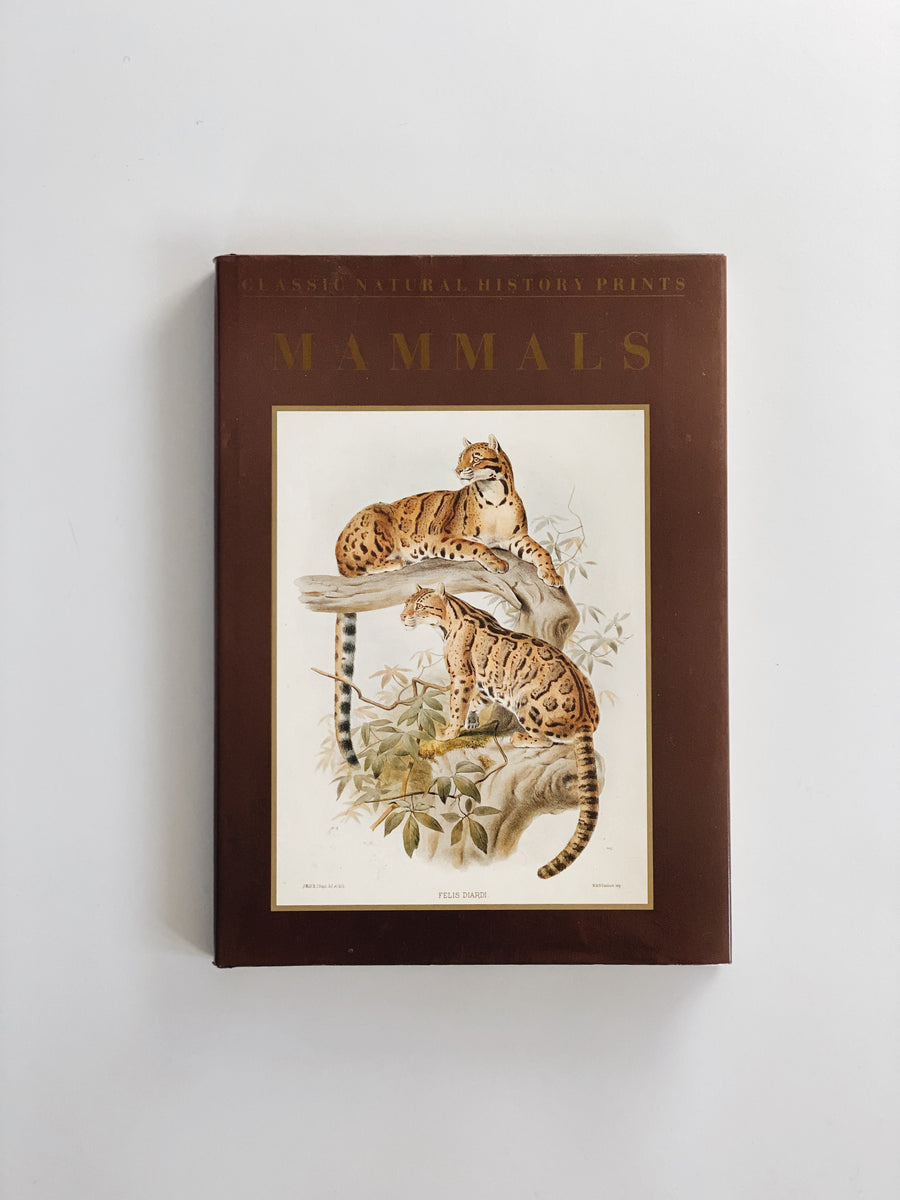 Mammals Book