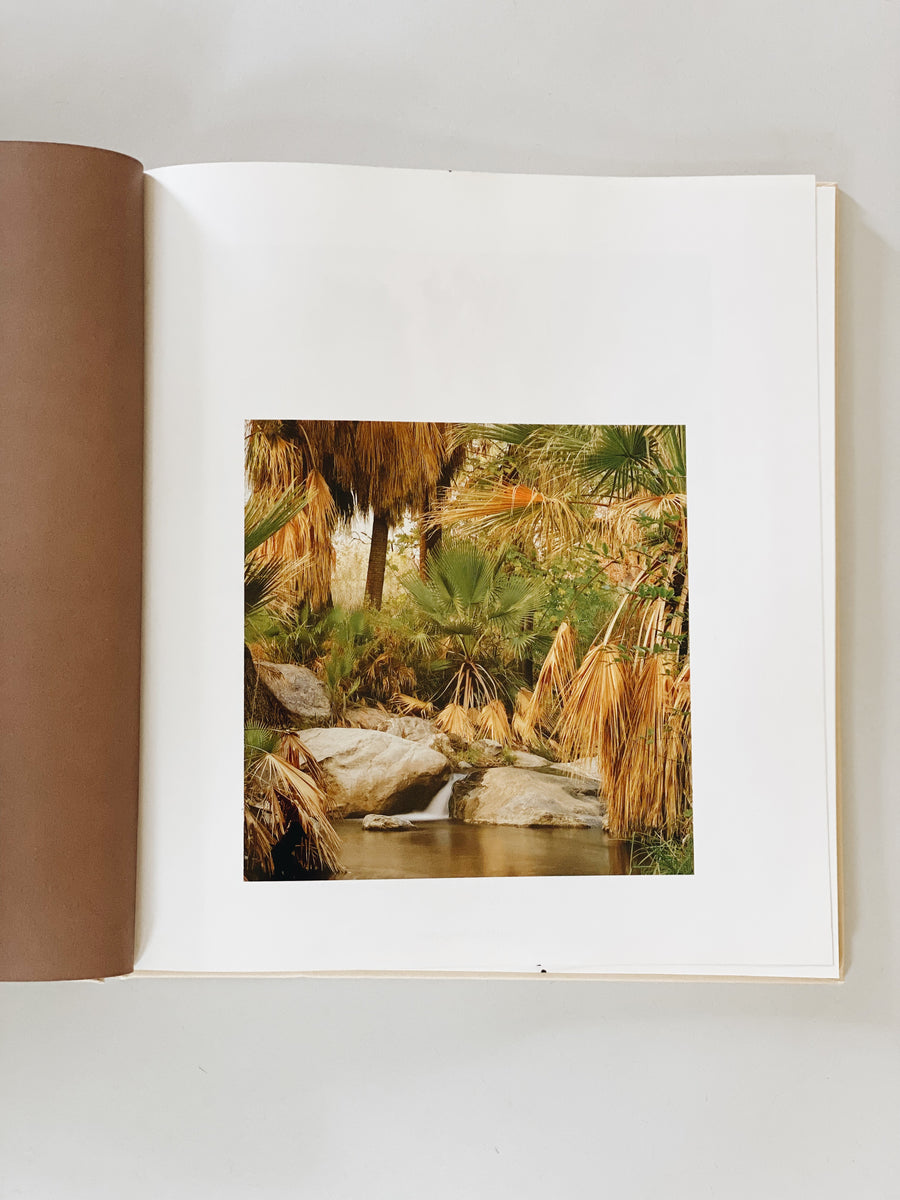Palm Springs Oasis Book