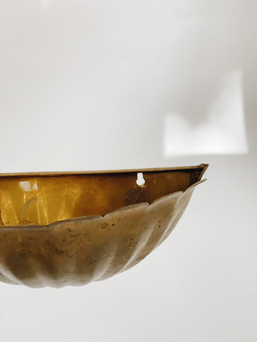 brass wall plant hanger Brass Wall Planter – Arlee Park