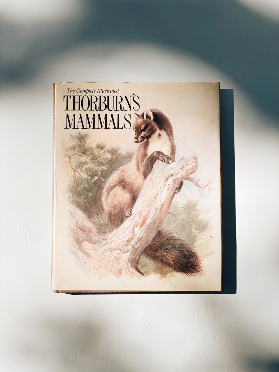 Thorburn’s Mammals Book